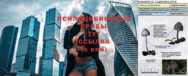 прущая мука Россошь