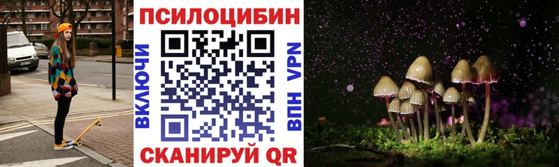 наркошоп  Стрежевой  Псилоцибиновые грибы Psilocybe 