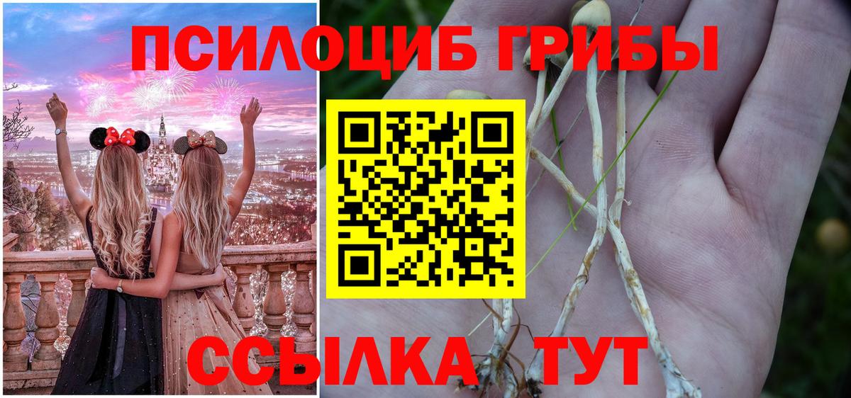Галлюциногенные грибы ЛСД  где купить наркоту  Стрежевой  Вход с VPN 